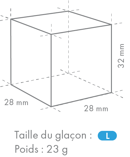 Machine à glaçons cube IM Autonome - Hoshizaki IM45NEHC